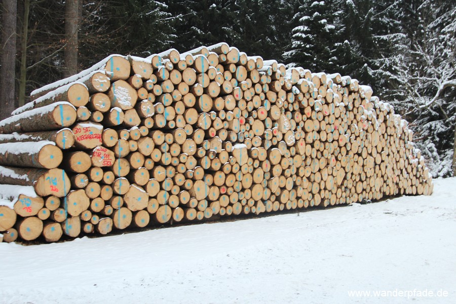 Holzernte im Nationalpark Schsische Schweiz
