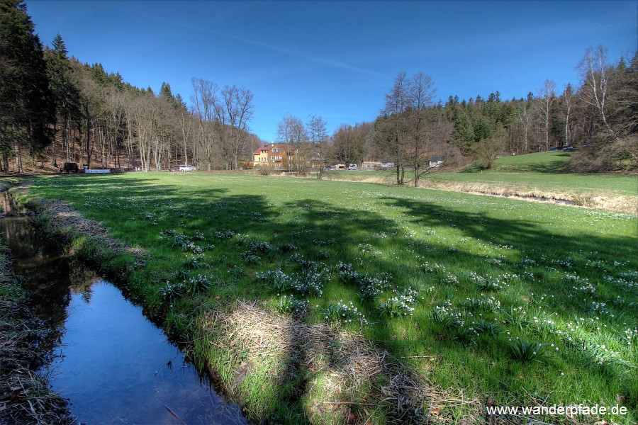 Mrzenbecherwiesen im Polenztal, Bockmhle