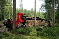 Harvester im Nationalpark Schsische Schweiz