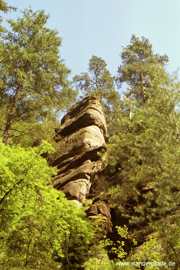 Obere Schleuse an der Kirnitzsch, Blick bei der Kahnfahrt