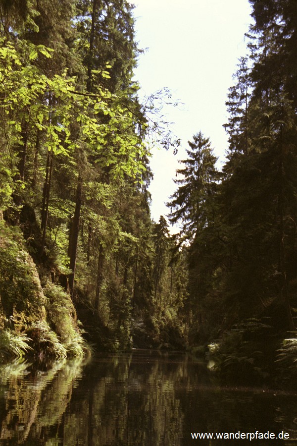 Obere Schleuse an der Kirnitzsch, Blick bei der Kahnfahrt