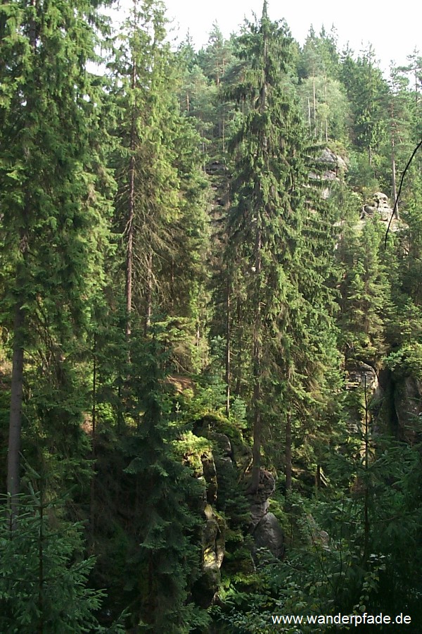 Kirnitzschklamm, Obere Schleuse