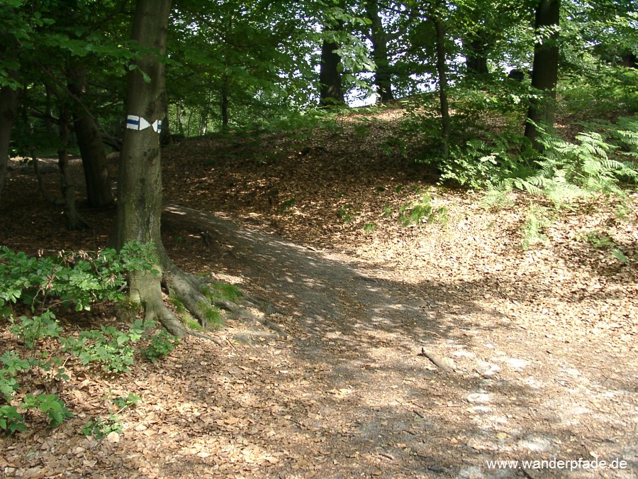 Abzweig vom Schrammsteinweg zur Rotkehlchenstiege