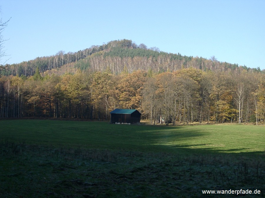 Hohe Liebe, Wildwiese