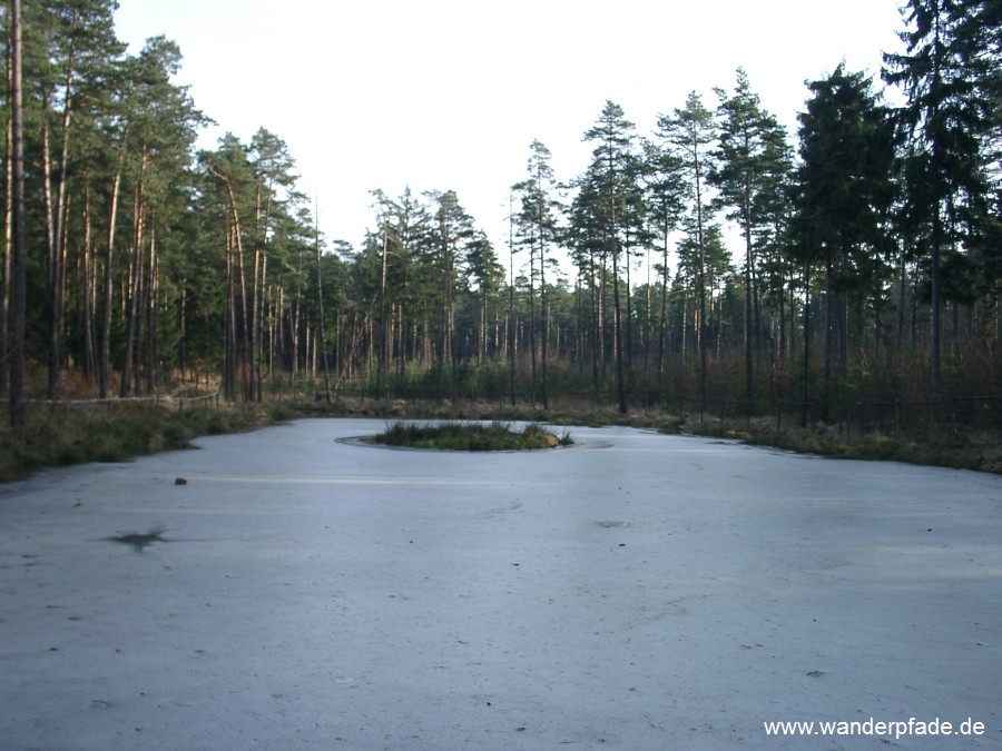 Teich am Marktweg