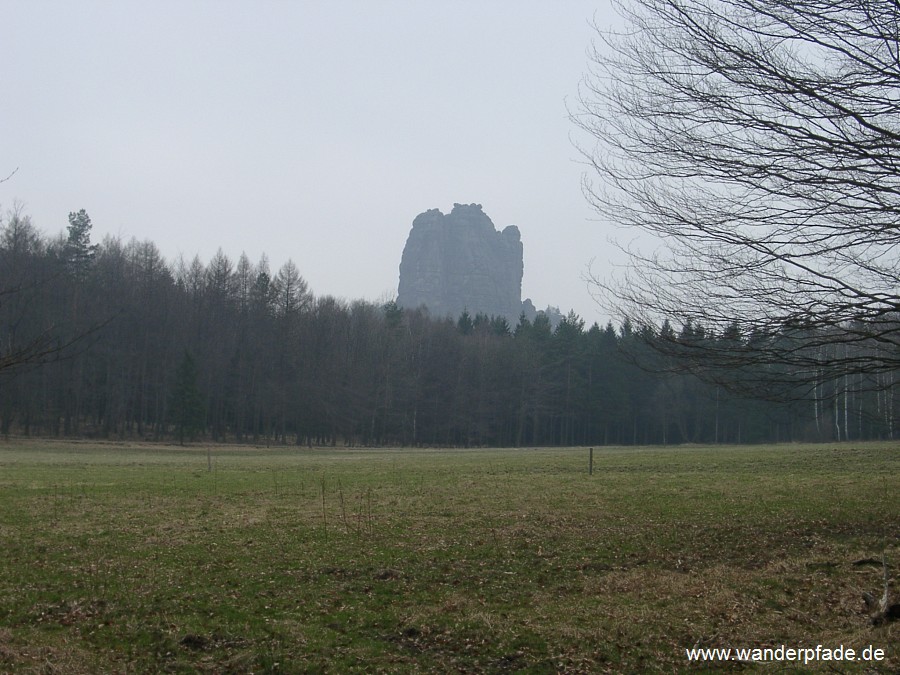 Wildwiese, Falkenstein