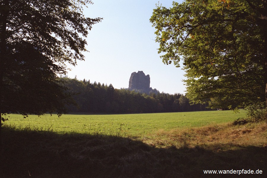 Wildwiese mit Falkenstein