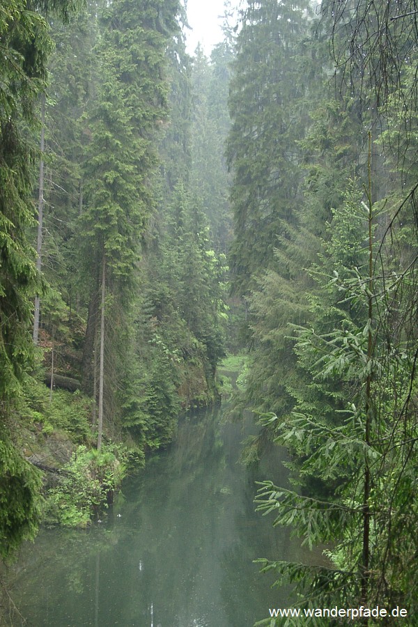 Kirnitzschklamm