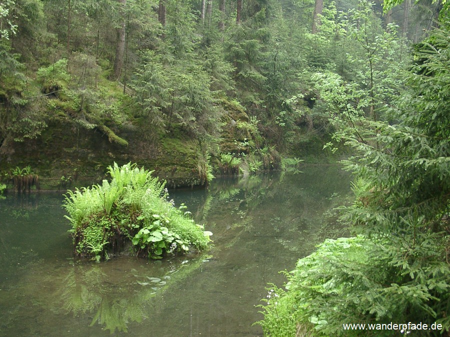 Kirnitzschklamm mit Liebesinsel