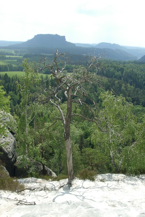 Lilienstein