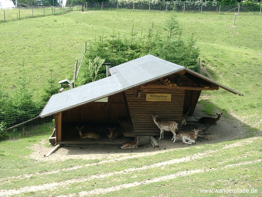 Damwildgehege bei Papstdorf