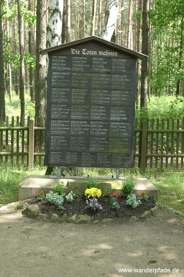 Foto: Waldfriedhof am Lilienstein