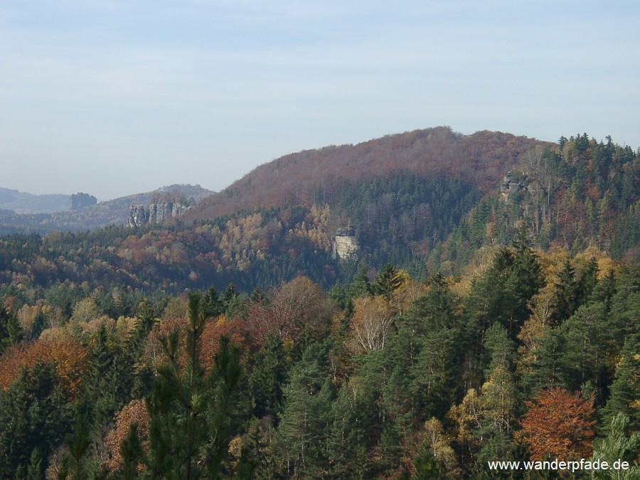 Falkenstein, Neuer Wildenstein, Hausberg