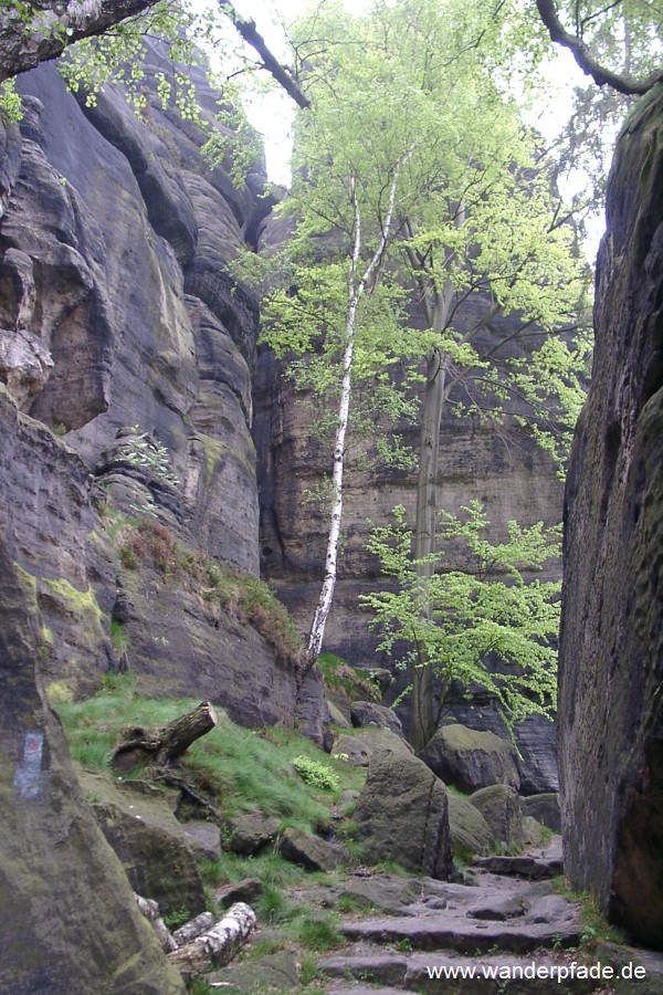 Foto: Bequemer Auf-/ Abstieg Pfaffenstein