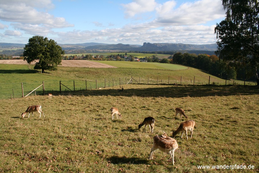 Damwildgehege bei Papstdorf