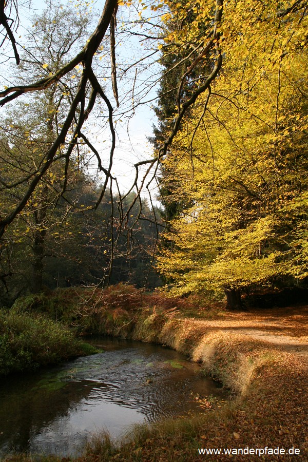 Kirnitzschtal