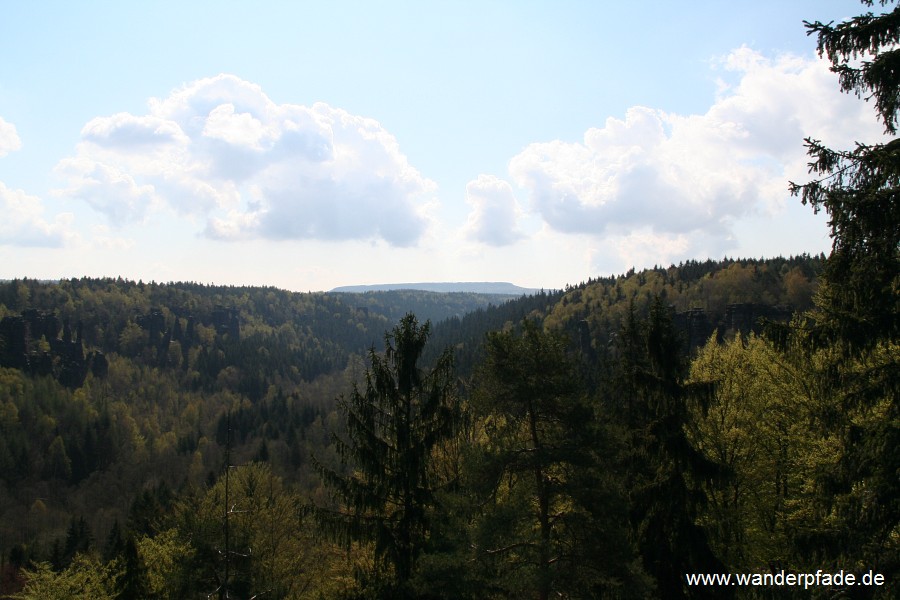 Bielatal, Hoher Schneeberg