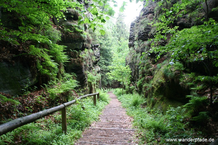 Wurzelweg