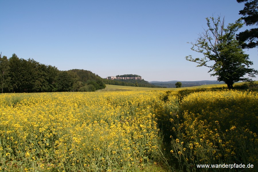 Festung Knigstein