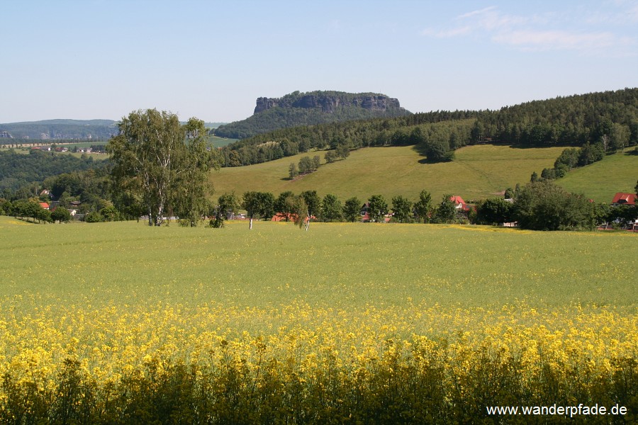 Lilienstein, Pfaffendorf