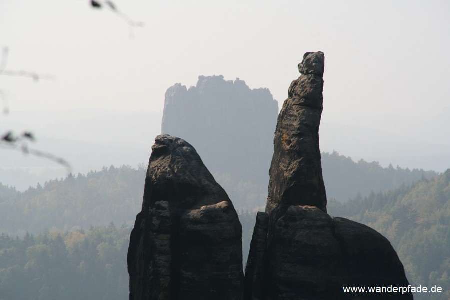 Brosinnadel, Falkenstein