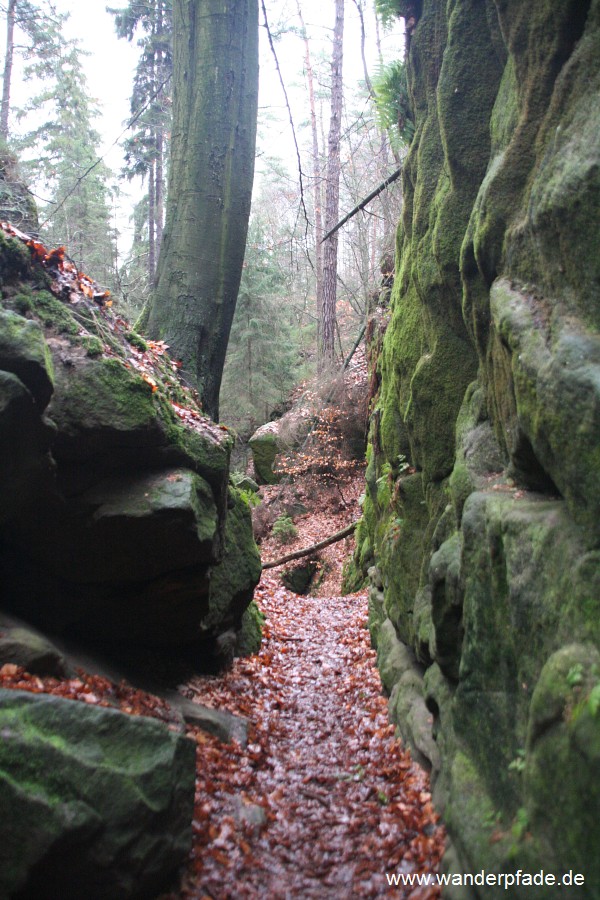 Teufelsschlchte/ Teufelsgrund/ Teufelskammer