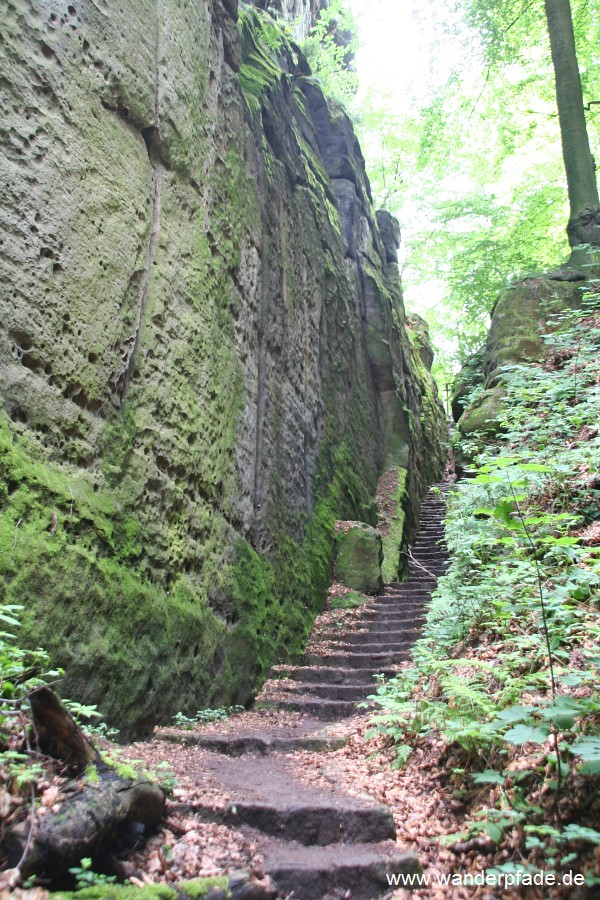 Nasse Schlucht