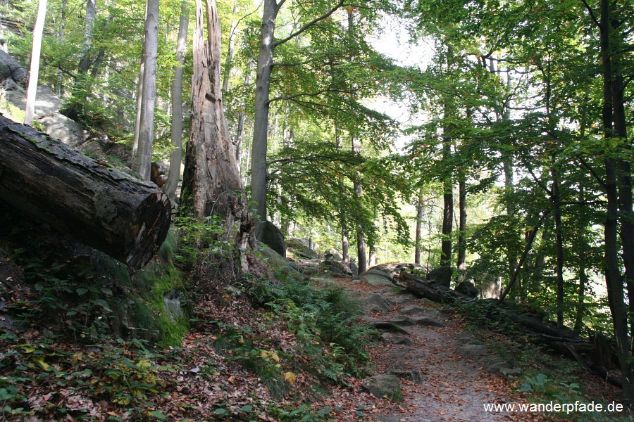 Unterer Fremdenweg am Kleinen Winterberg