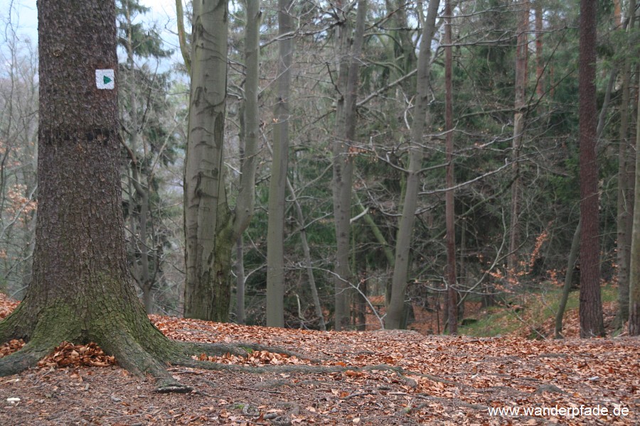 Ende 2007 war die Markierung vom Fremdenweg in den Griesgrund noch gut zu erkennen