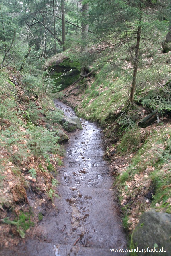 Auf-/ Abstieg am Frienstein