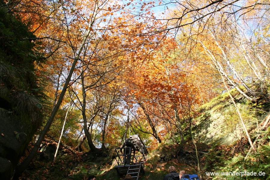 Wildschtzensteig