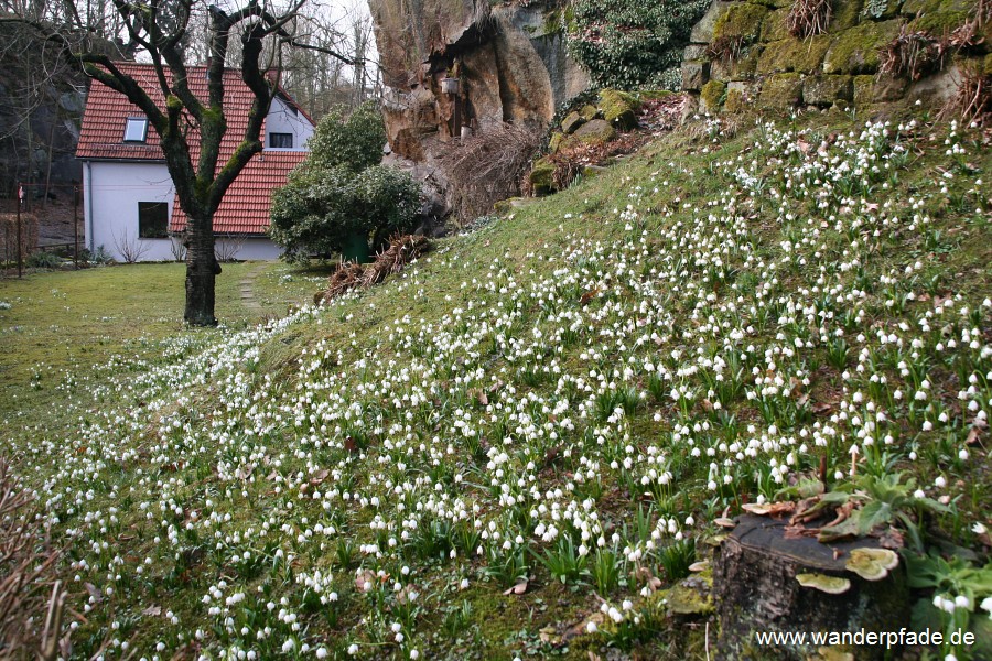 Mrzenbecher Rathewalde, oberhalb Amselgrund