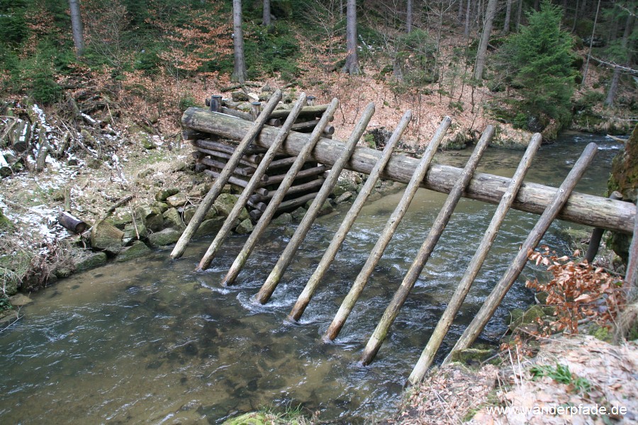Flussrechen im oberen Kirnitzschtal (entfernt)