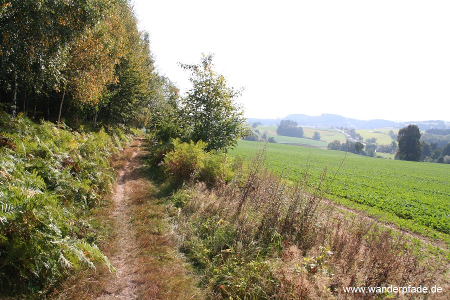 Dr.-Alfred-Meiche-Weg