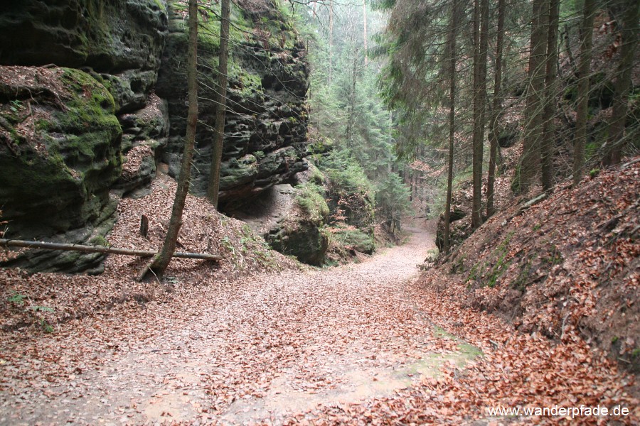 Knotenweg am Hockstein