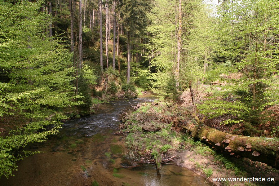 Kirnitzsch