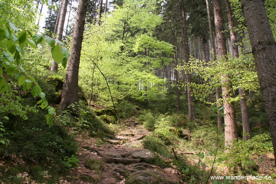 Dreisteigensteig