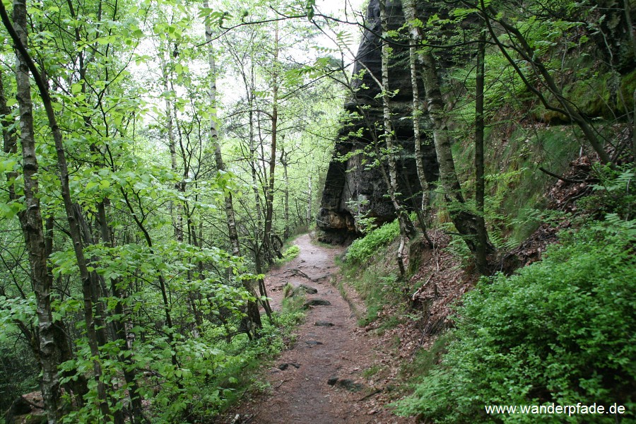 Nord-Auf-/Abstieg Groer Zschirnstein