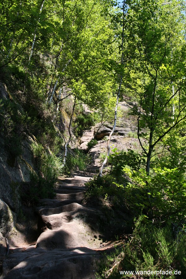 Rotkehlchenstiege