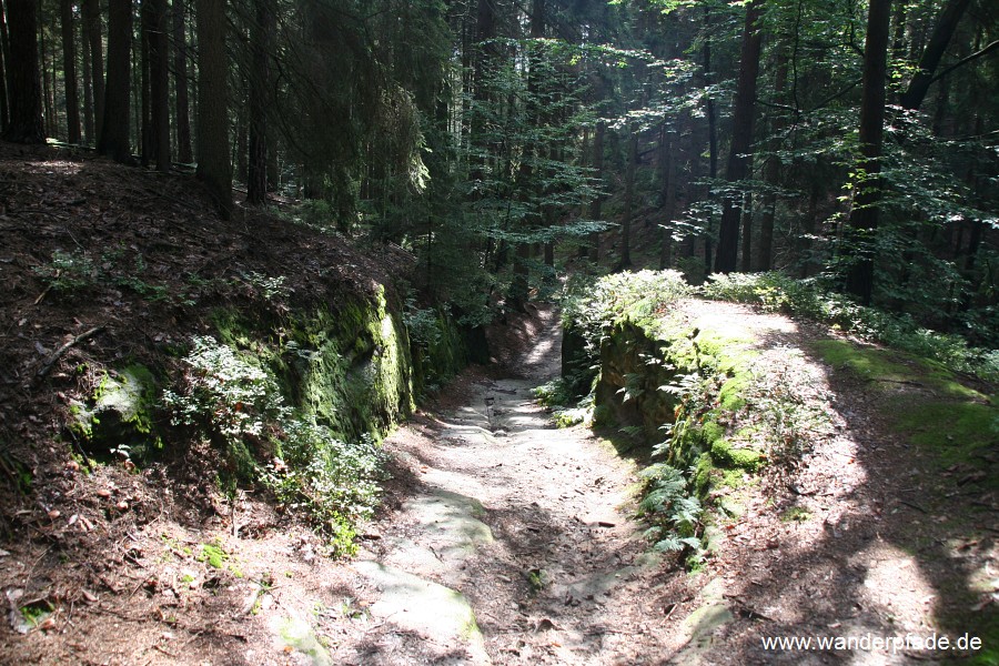 Knotenweg am Hockstein