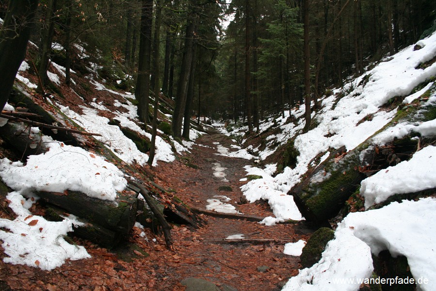 Schulzengrund