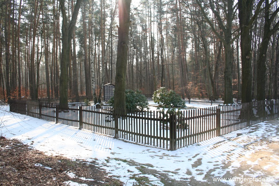Foto: Standort Waldfriedhof am Lilienstein