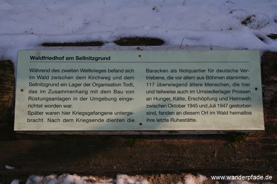 Foto: Standort Waldfriedhof am Lilienstein