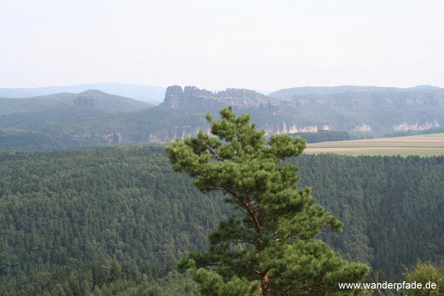 Falkenstein, Torsteine, Schrammsteine