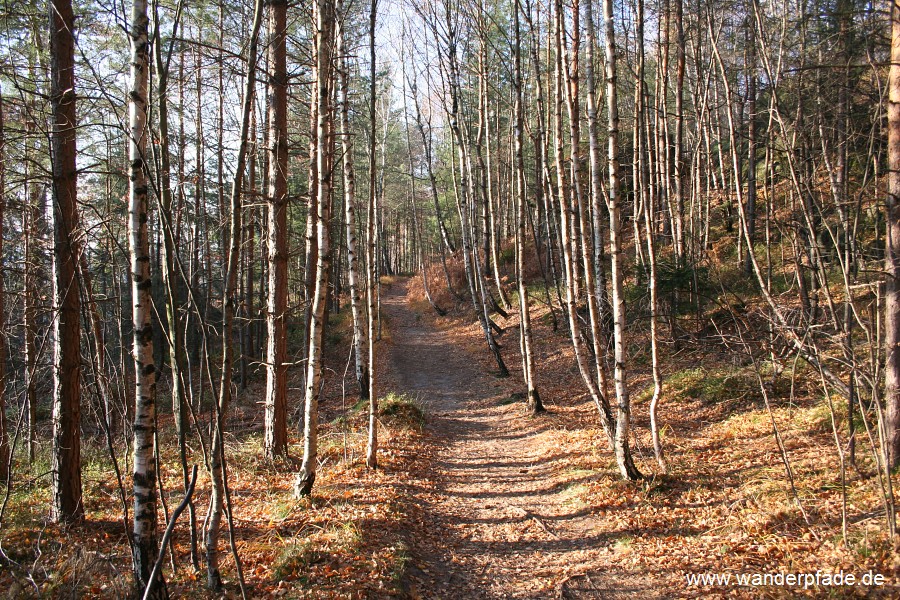 Oberer Affensteinweg