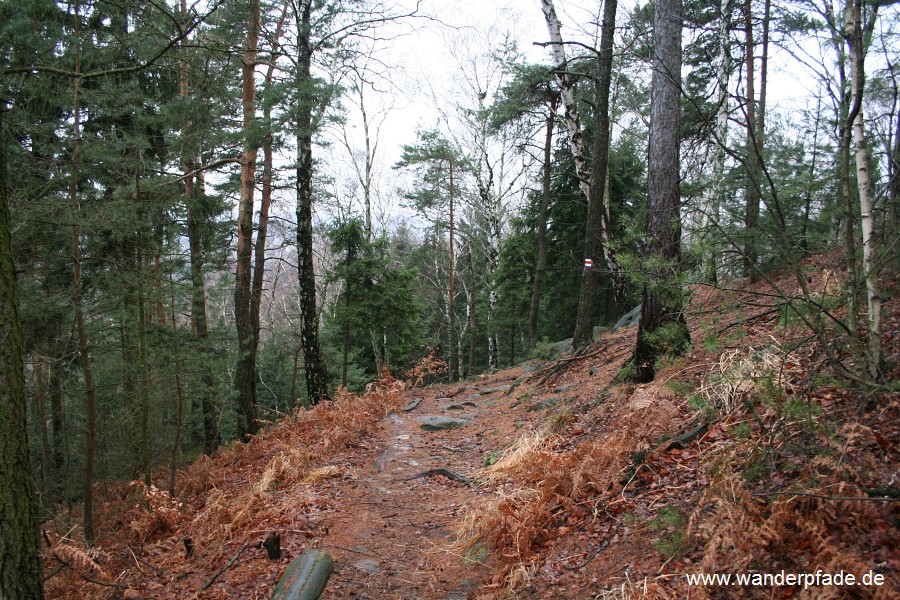 Oberer Liebenweg