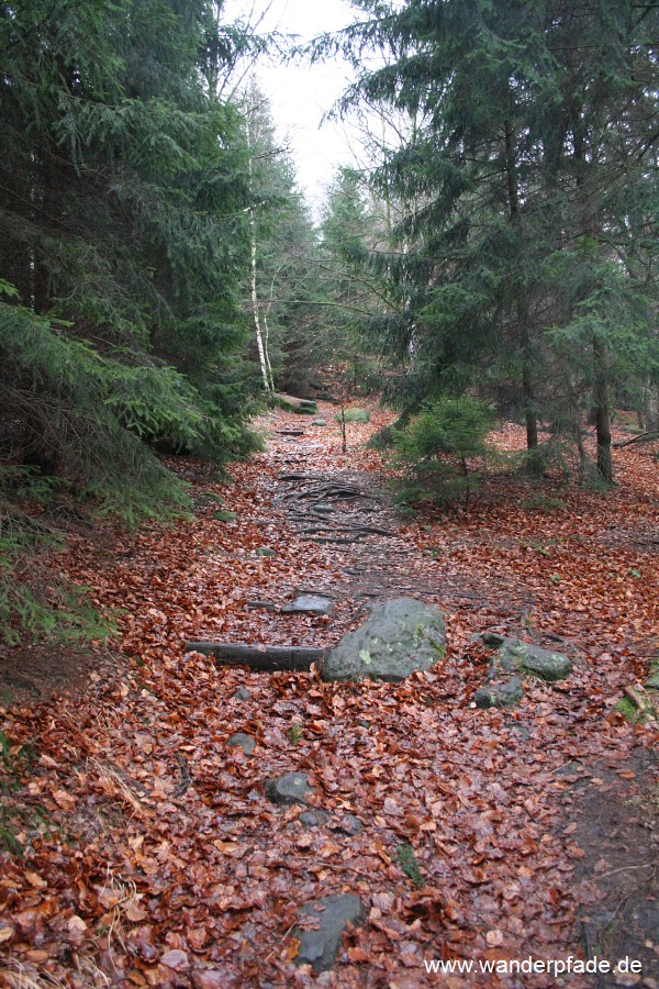 Oberer Liebenweg