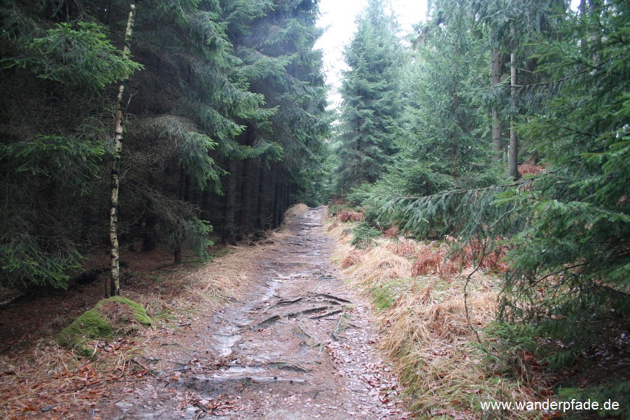 Oberer Liebenweg