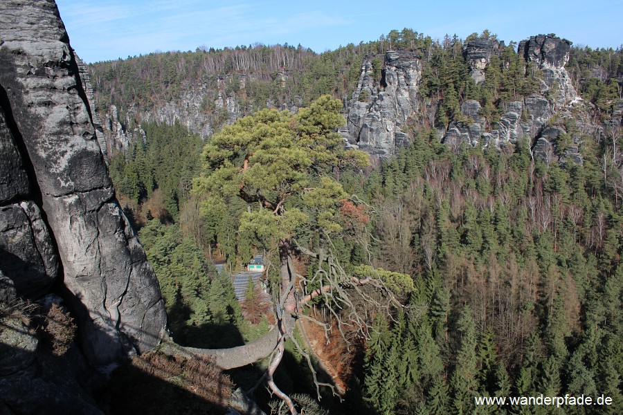 Felsenbhne Rathen, Wehlgrund