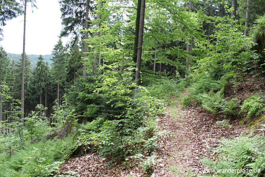 Foto: Panoramaweg um Lampertsstein